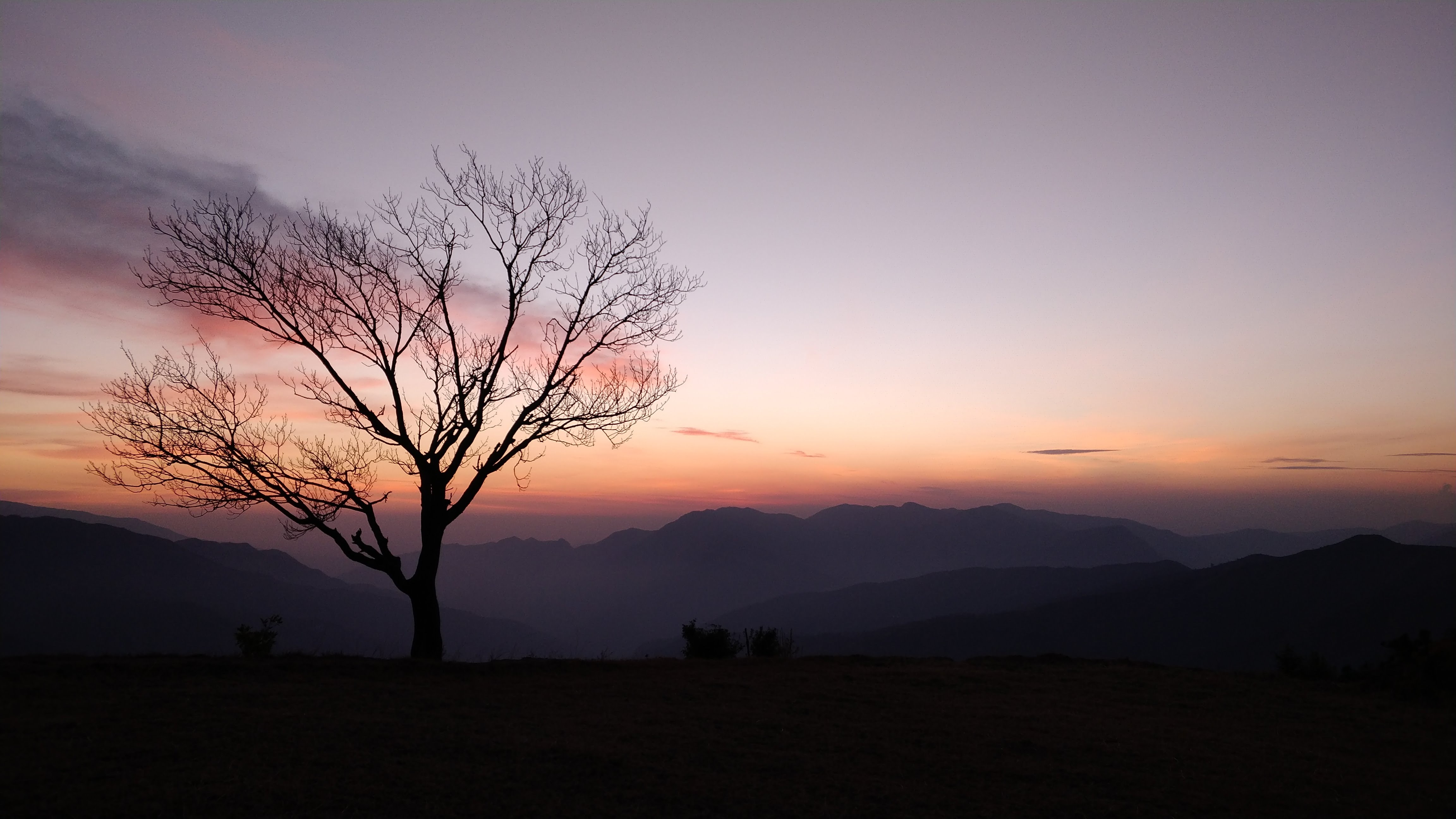 blog
